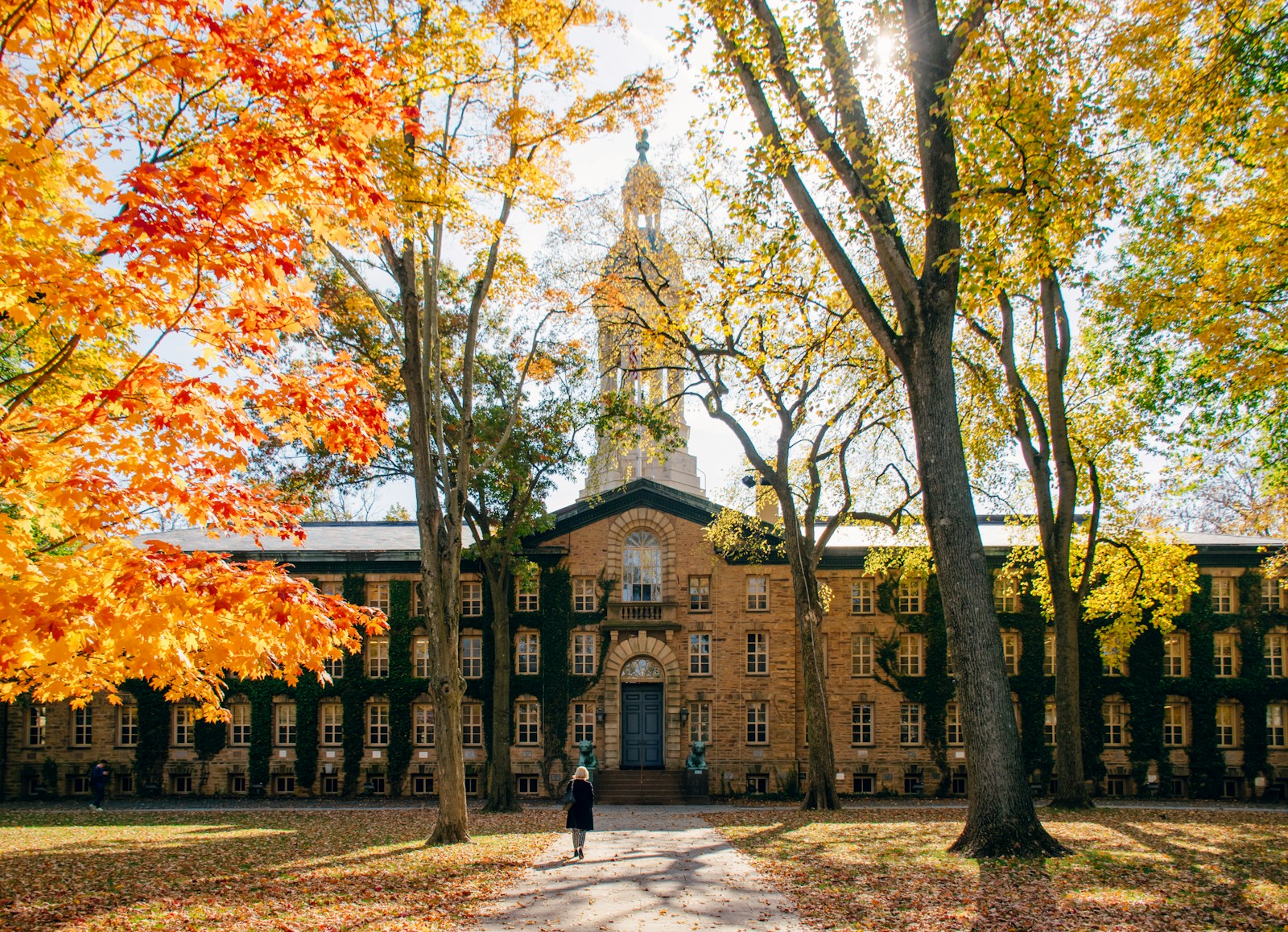 U.S. University Admission Requirements Explained